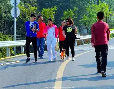 步行者战胜老鹰创造历史的简单介绍