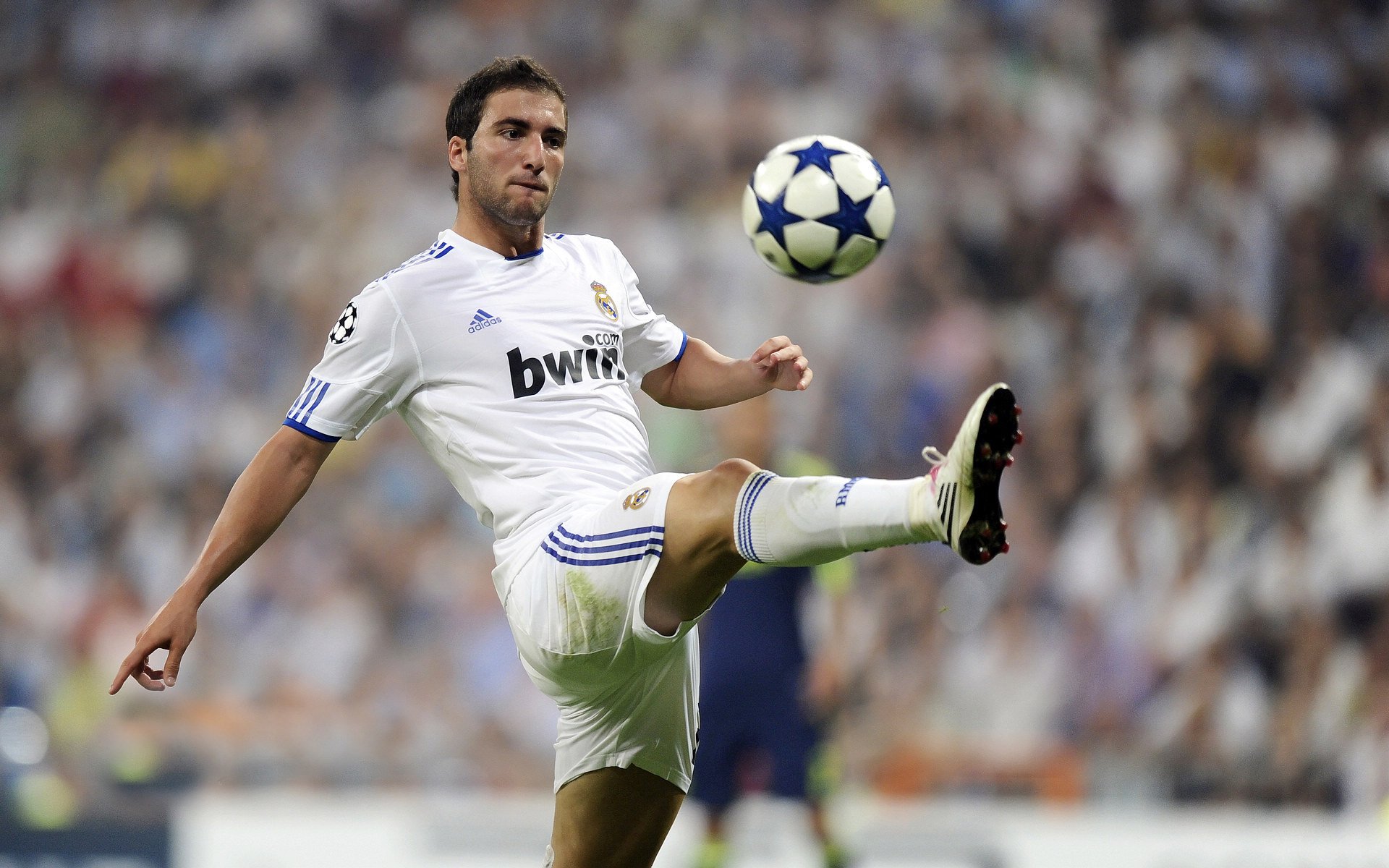 西部快刀刺穿纸糊防线,当福克斯的马蹄踏过夏洛特的叹息