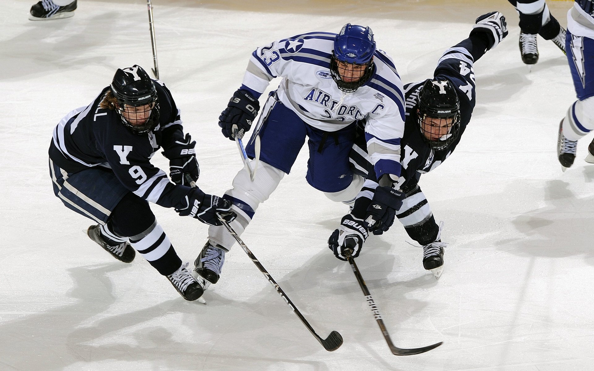 九游体育直播-冰封王座与熔岩奔流，兹维列夫的十二月双重奏